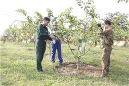 Sáng tạo trong tăng gia sản xuất